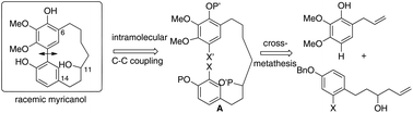 Graphical abstract: Convergent total synthesis of (±) myricanol, a cyclic natural diarylheptanoid