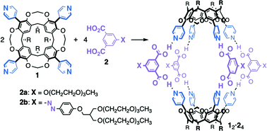 Graphical abstract: Hydrogen-bonded six-component assembly for capsule formation based on tetra(4-pyridyl)cavitand and isophthalic acid linker and its application to photoresponsive capsule