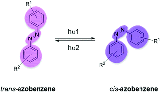 Graphical abstract: Azobenzene-based small molecular photoswitches for protein modulation