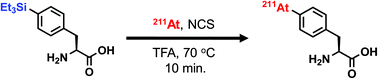 Graphical abstract: A convenient and reproducible method for the synthesis of astatinated 4-[211At]astato-l-phenylalanine via electrophilic desilylation