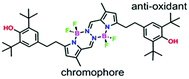 Graphical abstract: Photocatalysis and self-catalyzed photobleaching with covalently-linked chromophore-quencher conjugates built around BOPHY