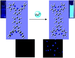 Graphical abstract: Terpyridine derivatives as “turn-on” fluorescence chemosensors for the selective and sensitive detection of Zn2+ ions in solution and in live cells