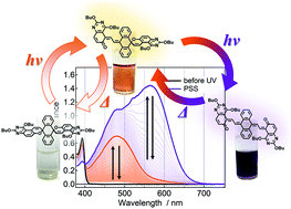 Graphical abstract: Stepwise photochromism of bisnaphthopyrans exhibiting an excitation intensity-dependent color change