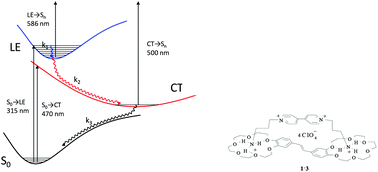 Graphical abstract: Formation of a supramolecular charge-transfer complex. Ultrafast excited state dynamics and quantum-chemical calculations