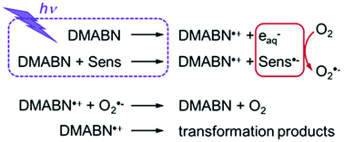 Graphical abstract: Laser flash photolysis study of the photoinduced oxidation of 4-(dimethylamino)benzonitrile (DMABN)