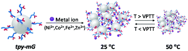 Graphical abstract: Terpyridine-functionalized stimuli-responsive microgels and their assembly through metal–ligand interactions
