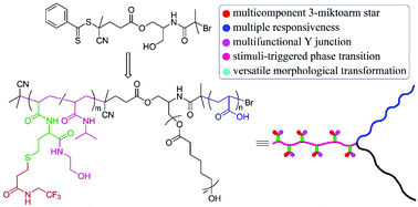 Graphical abstract: Thermoresponse and self-assembly of an ABC star quarterpolymer with O2 and redox dual-responsive Y junctions