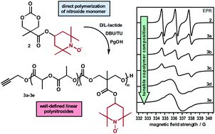 Graphical abstract: Direct access to biocompatible nitroxide containing polymers