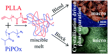 Graphical abstract: Inversion of crystallization rates in miscible block copolymers of poly(lactide)-block-poly(2-isopropyl-2-oxazoline)