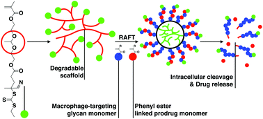 Graphical abstract: Radiant star nanoparticle prodrugs for the treatment of intracellular alveolar infections