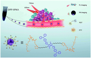Graphical abstract: Zwitterionic diketopyrrolopyrrole for fluorescence/photoacoustic imaging guided photodynamic/photothermal therapy