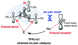 Graphical abstract: Opposite-charge repulsive cation and anion pair cooperative organocatalysis in ring-opening polymerization