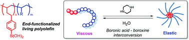 Graphical abstract: Reversible star assembly of polyolefins using interconversion between boroxine and boronic acid