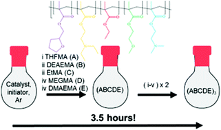 Graphical abstract: Scalable syntheses of well-defined pentadecablock bipolymer and quintopolymer