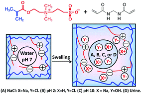 Graphical abstract: Highly porous, emulsion-templated, zwitterionic hydrogels: amplified and accelerated uptakes with enhanced environmental sensitivity