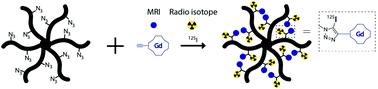 Graphical abstract: A tunable one-pot three-component synthesis of an 125I and Gd-labelled star polymer nanoparticle for hybrid imaging with MRI and nuclear medicine