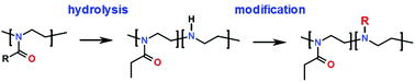 Graphical abstract: Full and partial hydrolysis of poly(2-oxazoline)s and the subsequent post-polymerization modification of the resulting polyethylenimine (co)polymers