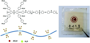 Graphical abstract: Proton-conducting poly(ether sulfone ketone)s containing a high density of pendant sulfonic groups by a convenient and mild post-sulfonation