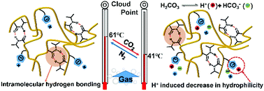 Graphical abstract: A polyelectrolyte-containing copolymer with a gas-switchable lower critical solution temperature-type phase transition