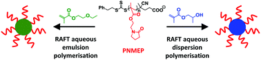Graphical abstract: End-group ionisation enables the use of poly(N-(2-methacryloyloxy)ethyl pyrrolidone) as an electrosteric stabiliser block for polymerisation-induced self-assembly in aqueous media