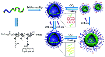 Graphical abstract: Intelligent CO2- and photo-dual-responsive polymer vesicles with tunable wall thickness