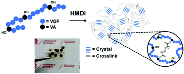 Graphical abstract: Tuning the dielectric behavior of poly(vinylidene fluoride-co-vinyl alcohol) using a facile urethane-based crosslinking method