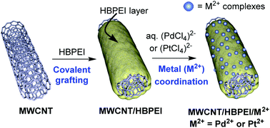 Graphical abstract: HBPEI-grafted carbon nanotubes for the effective retention of Pd2+ and Pt2+ through complexation