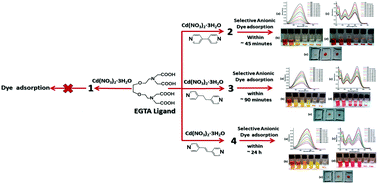 Graphical abstract: Selective anionic dye adsorption, topology and luminescence study of structurally diverse cadmium(ii) coordination polymers