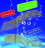 Graphical abstract: Interlayer-expanded and defect-rich metal dichalcogenide (MX2) nanosheets for active and stable hydrogen evolution