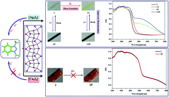 Graphical abstract: Metal-dependent electronic and photochromic behaviors of dimethylbenzotriazolium iodometallate hybrids