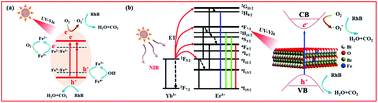 Graphical abstract: Enhanced UV-Vis-NIR activated photocatalytic activity from Fe3+-doped BiOBr:Yb3+/Er3+ upconversion nanoplates: synergistic effect and mechanism insight