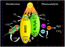 Graphical abstract: In situ construction of the BiOCl/Bi2Ti2O7 heterojunction with enhanced visible-light photocatalytic activity