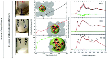 Graphical abstract: Are organic templates responsible for the optical and magnetic response of MgO nanoparticles?