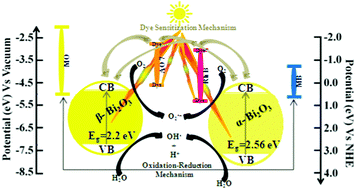 Graphical abstract: Phase-controlled synthesis of bismuth oxide polymorphs for photocatalytic applications