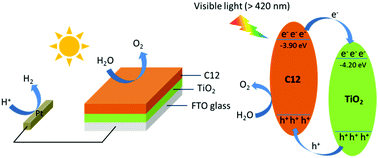 Graphical abstract: Molecular modulation of fluorene-dibenzothiophene-S,S-dioxide-based conjugated polymers for enhanced photoelectrochemical water oxidation under visible light