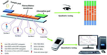 Graphical abstract: Ultrasensitive detection of seventeen chemicals simultaneously using paper-based sensors