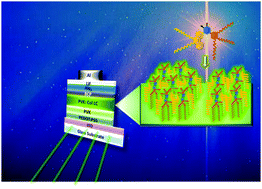 Graphical abstract: New fluorescent columnar mesogens derived from phenanthrene–cyanopyridone hybrids for OLED applications