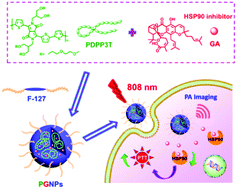 Graphical abstract: Enhanced efficacy of photothermal therapy by combining a semiconducting polymer with an inhibitor of a heat shock protein