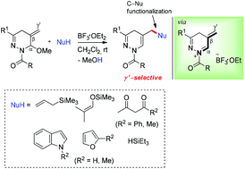 Graphical abstract: 5-Methylene N-acyl dihydropyridazinium ions as novel Mannich-type acceptors in 1,4 additions of nucleophiles