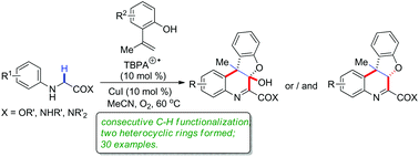 Graphical abstract: Oxidation of active sp3 C–H bonds initiated consecutive intermolecular/intramolecular cyclization between glycine derivatives and o-vinylphenols: construction of a polycyclic benzofuroquinoline skeleton
