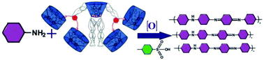 Graphical abstract: Hybrid multicyclophanes based on thiacalix[4]arene and pillar[5]arene: synthesis and influence on the formation of polyaniline