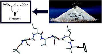 Graphical abstract: From glucose to enantiopure morpholino β-amino acid: a new tool for stabilizing γ-turns in peptides