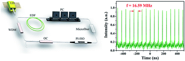 Graphical abstract: Optical modulation of microfibers and application to ultrafast fiber lasers
