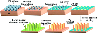 Graphical abstract: Boron-doped diamond nanowire array electrode with high mass transfer rates in flow-by operation