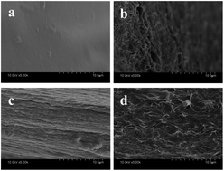 Graphical abstract: Preparation and properties of CA/ATP-g-CDs gel fibers for simultaneous detection and adsorption of methylene blue
