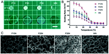 Graphical abstract: POSS-enhanced thermosensitive hybrid hydrogels for cell adhesion and detachment