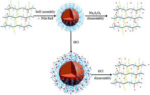Graphical abstract: Novel azobenzene-based amphiphilic copolymers: synthesis, self-assembly behavior and multiple-stimuli-responsive properties