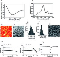 Graphical abstract: An inflammatory memory and angiogenic self-assembling nanofiber hydrogel scaffold seeded with Akkermansia muciniphila to accelerate the healing of diabetic ischemic ulcers