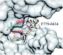 Graphical abstract: Compound F779-0434 causes synthetic lethality in BRCA2-deficient cancer cells by disrupting RAD52–ssDNA association