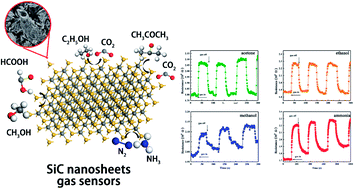 Graphical abstract: High temperature gas sensing performances of silicon carbide nanosheets with an n–p conductivity transition